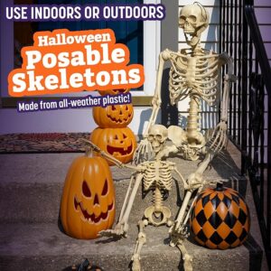 Posable Life Size Human Skeleton Family 4pk- 2 Adult (5'4") & 2 Children (2')- Halloween Prop Indoor Outdoor Decorations w Bending Articulated Bones